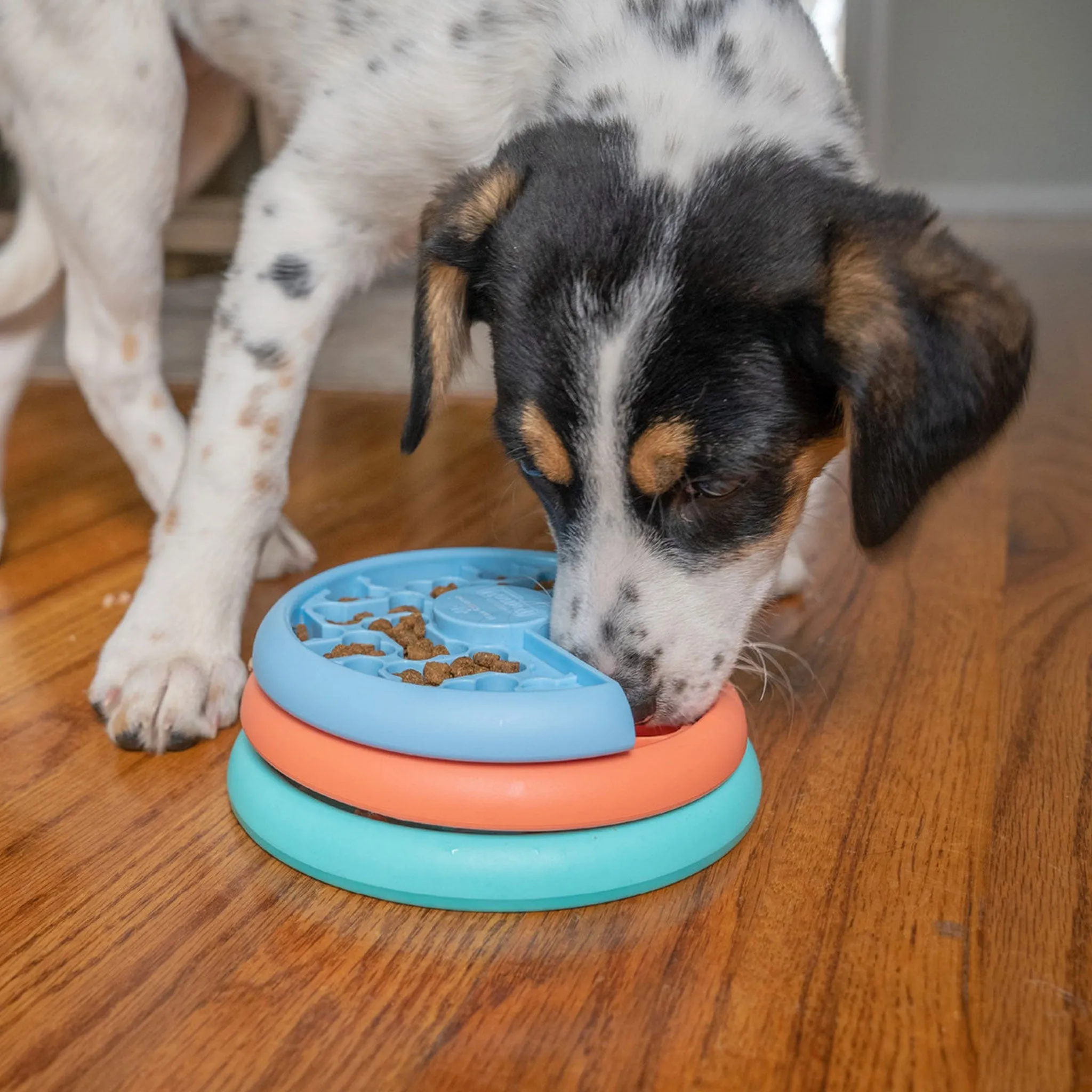 Nina Ottosson Puppy Lickin' Layers Puzzle