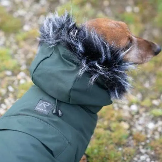 Rukka Frostbiter Parka Coat for Dogs in Forest