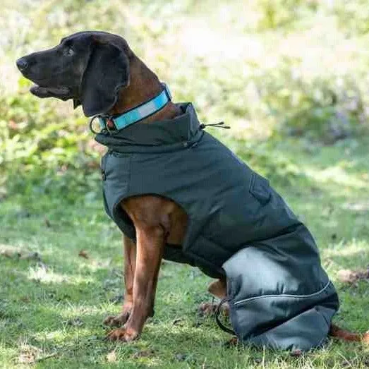 Rukka Frostbiter Parka Coat for Dogs in Forest