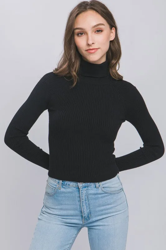 Slimming Crop Turtleneck