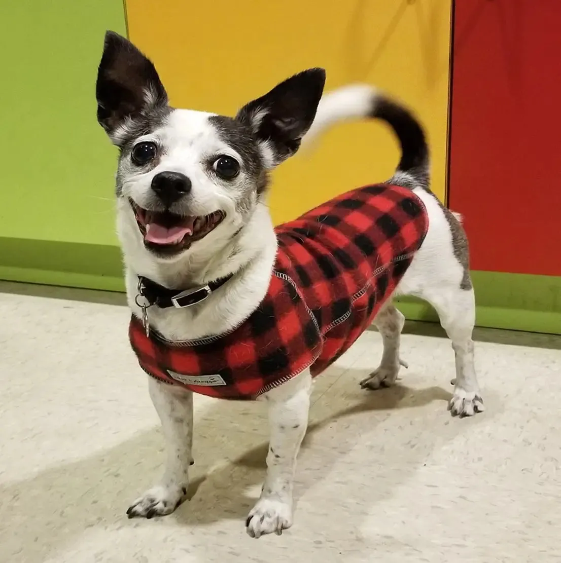 The Ultimate Plaid Warm Fleece Dog Sweater 3 LBS to 120 LBS