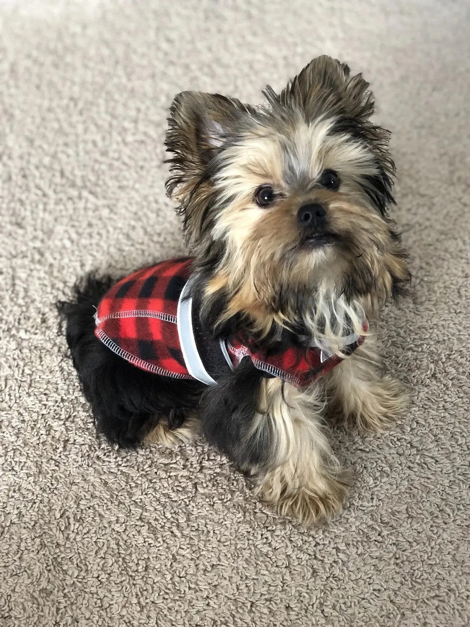 The Ultimate Plaid Warm Fleece Dog Sweater 3 LBS to 120 LBS