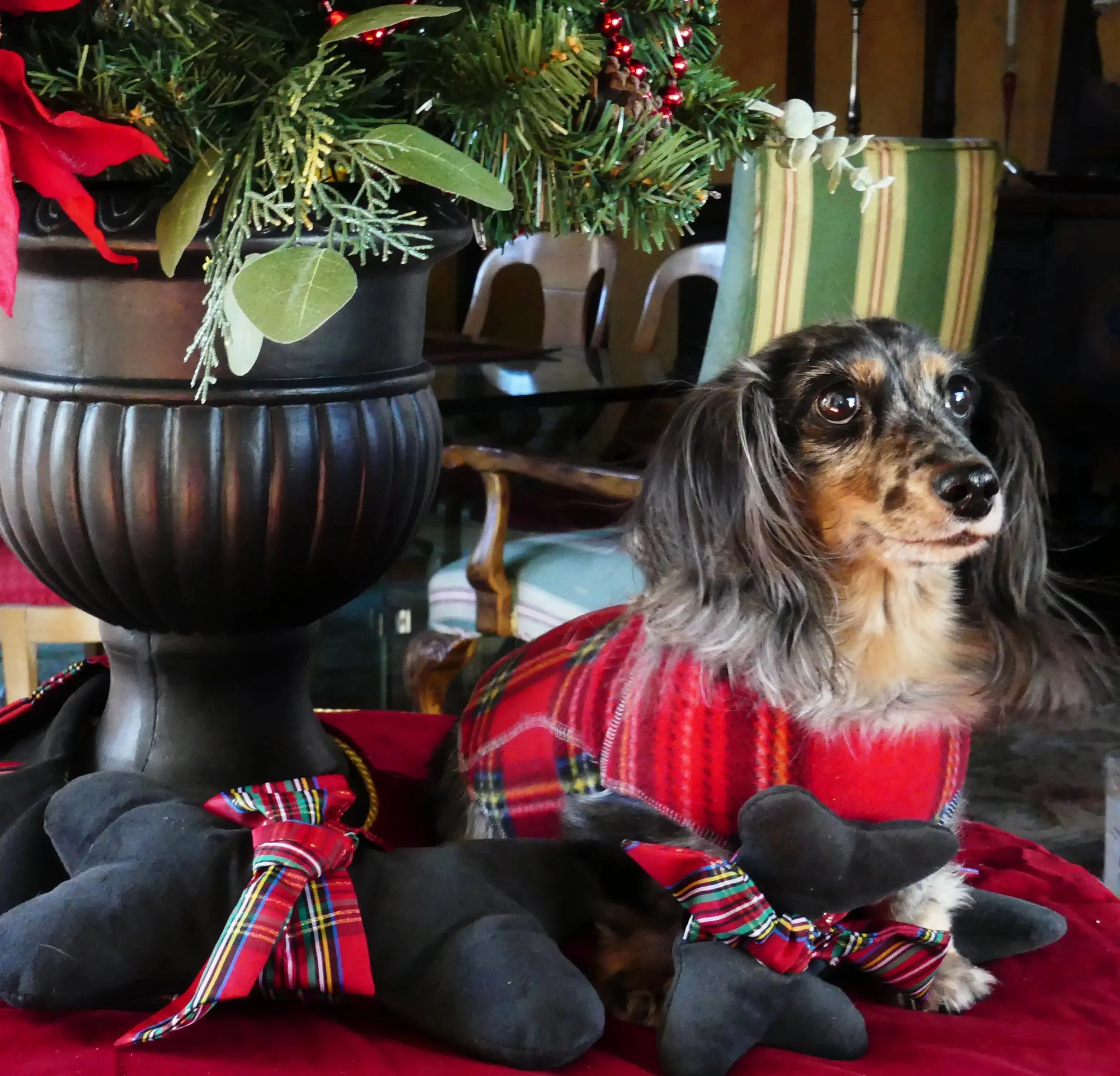 The Ultimate Plaid Warm Fleece Dog Sweater Tartan