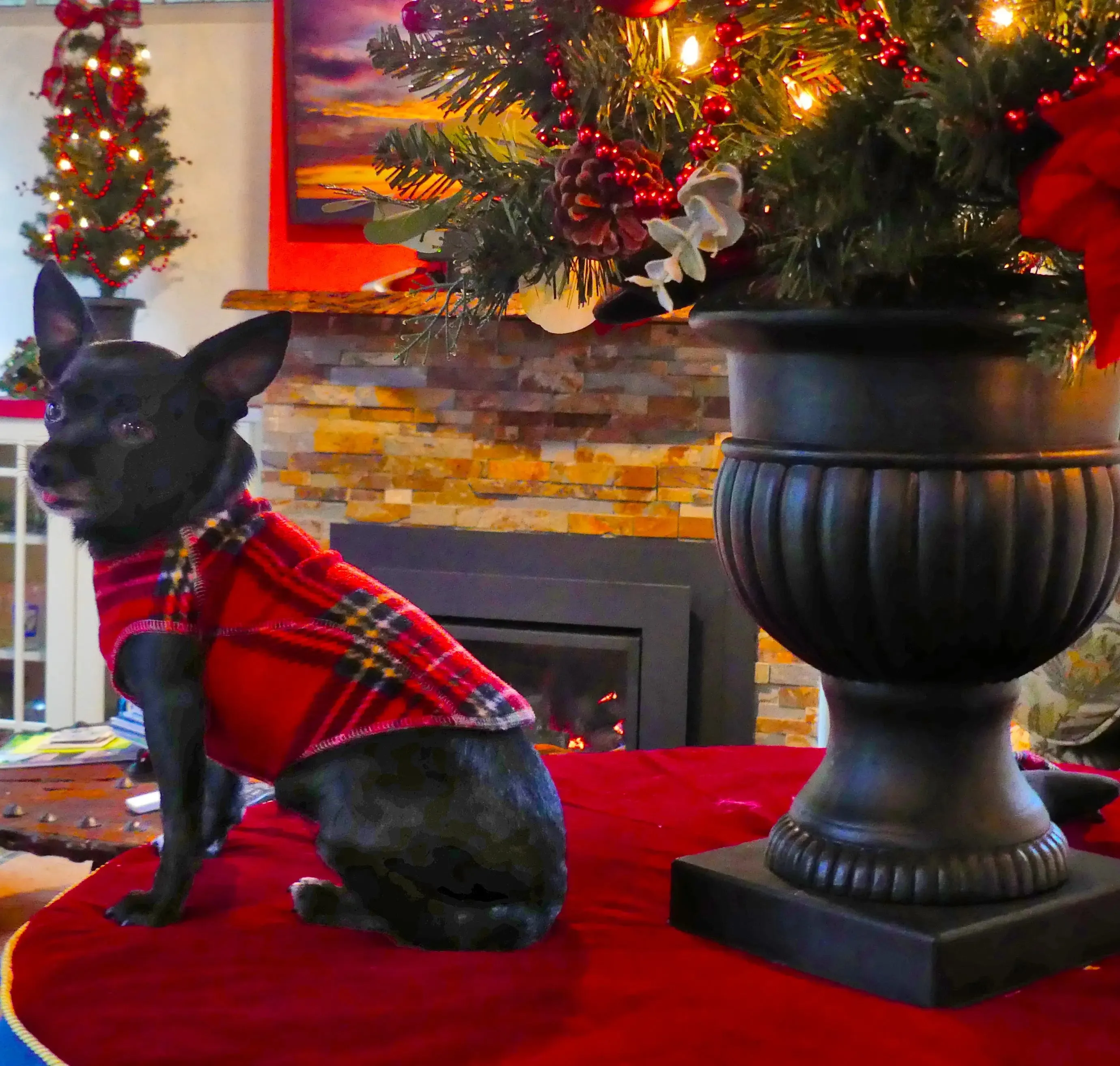 The Ultimate Plaid Warm Fleece Dog Sweater Tartan