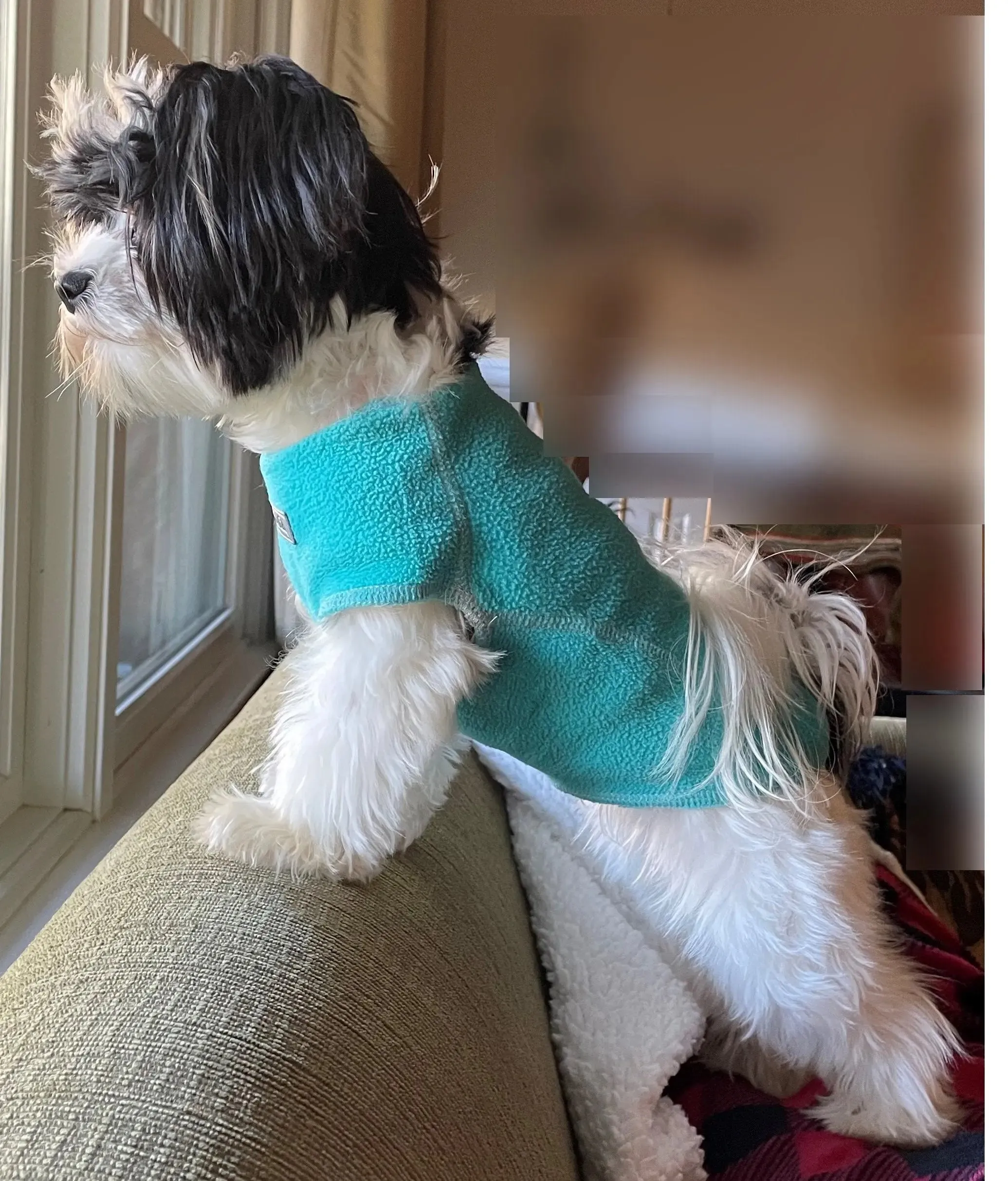 The Ultimate Warm Fleece Sweater for Dogs 3 LBS to 90 LBS