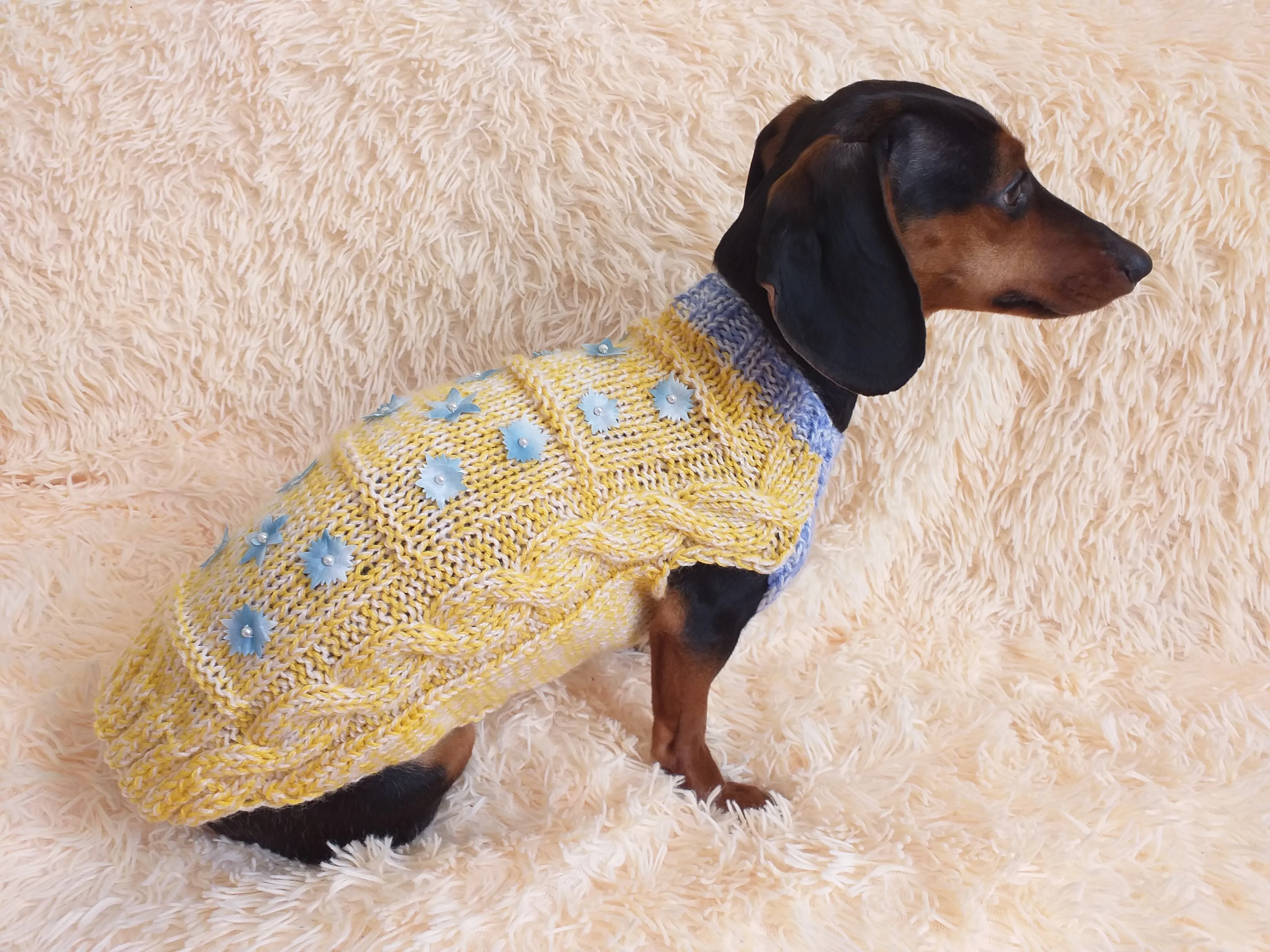 Ukrainian style clothes yellow blue sweater with flowers for a small dog