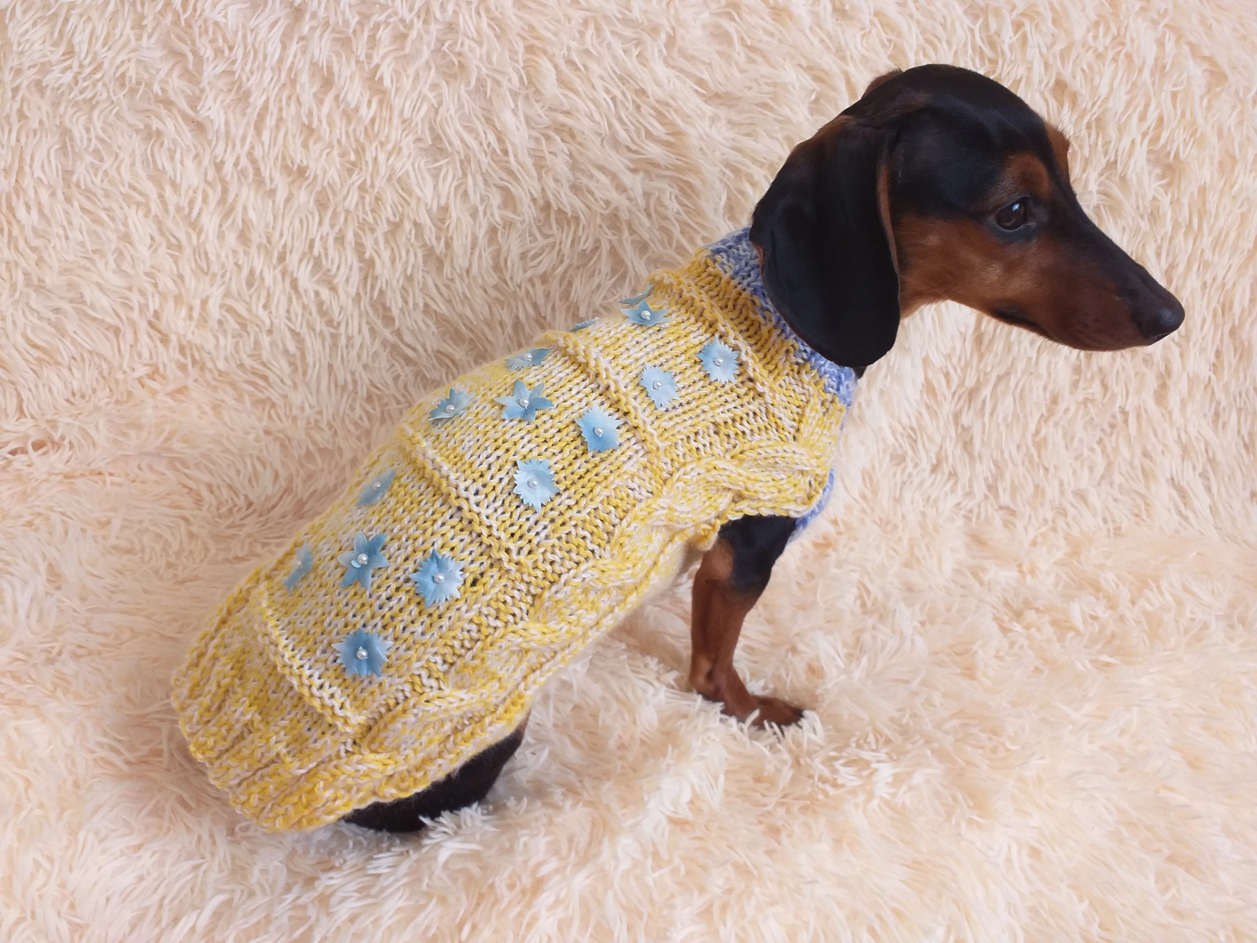 Ukrainian style clothes yellow blue sweater with flowers for a small dog