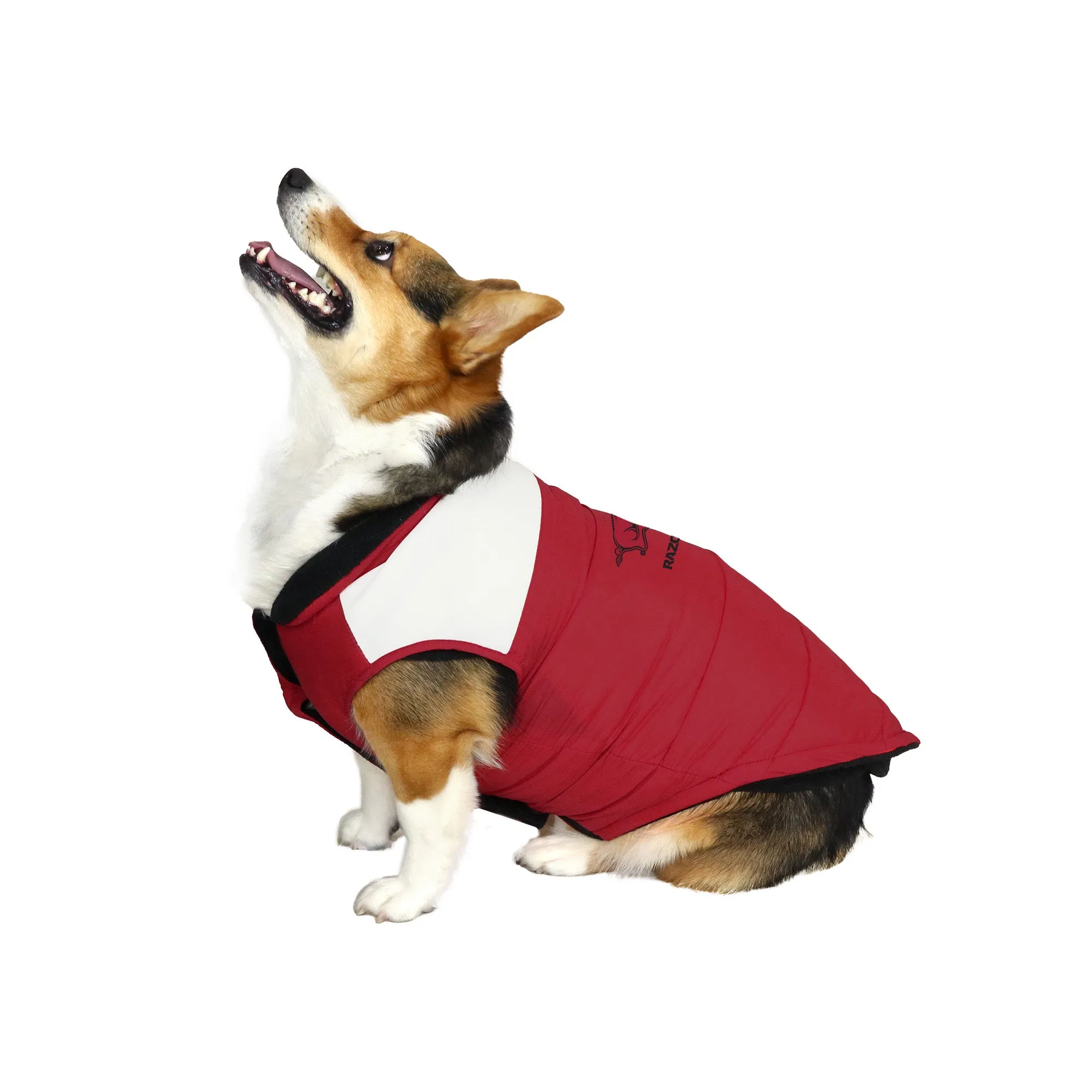 University of Arkansas Pet Parka Puff Vest