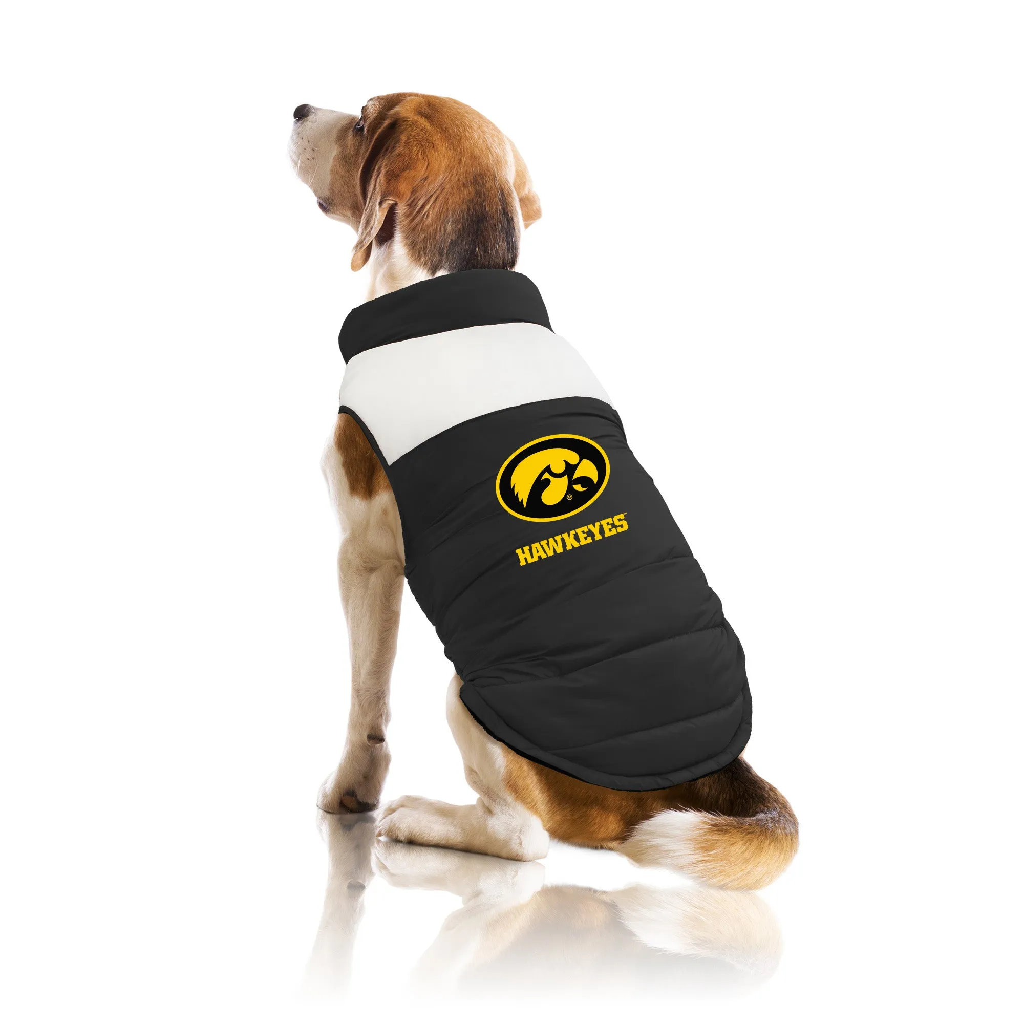 University of Iowa Pet Parka Puff Vest