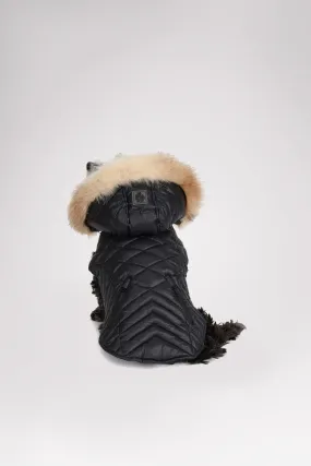 Zola Jacket for Dogs w/Faux Fur Trim