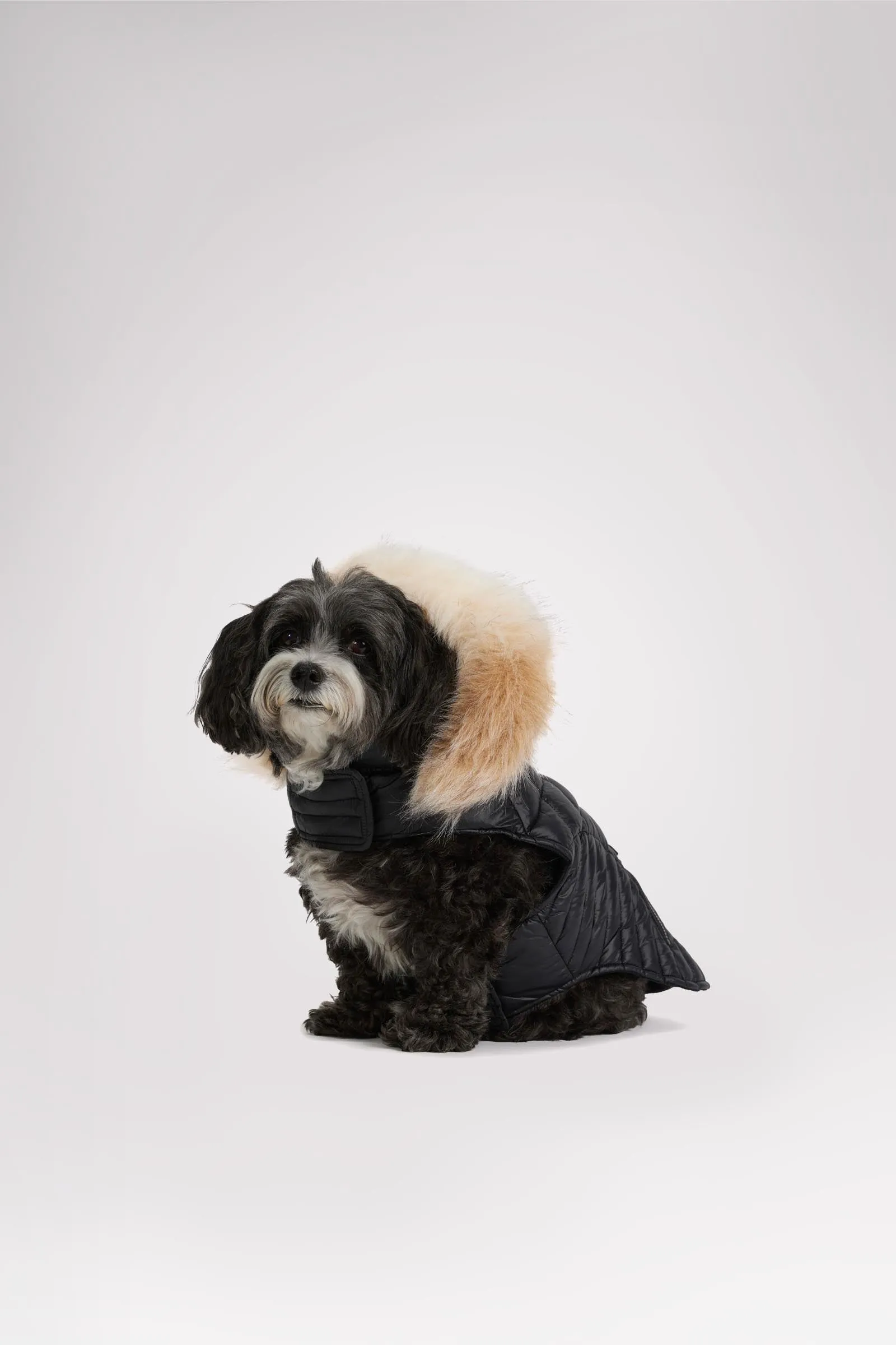 Zola Jacket for Dogs w/Faux Fur Trim